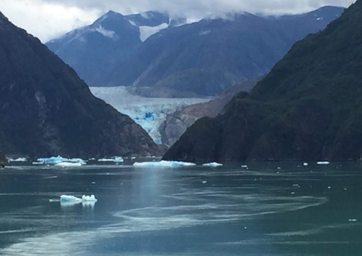 3A593E3A-0DA7-44BD-886F-57610A587303