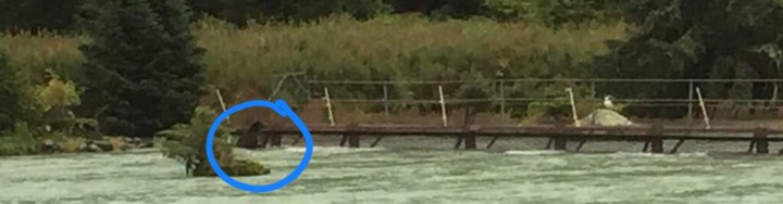 AFBB5EF7-7528-4ECB-B93D-AF0AA9898207