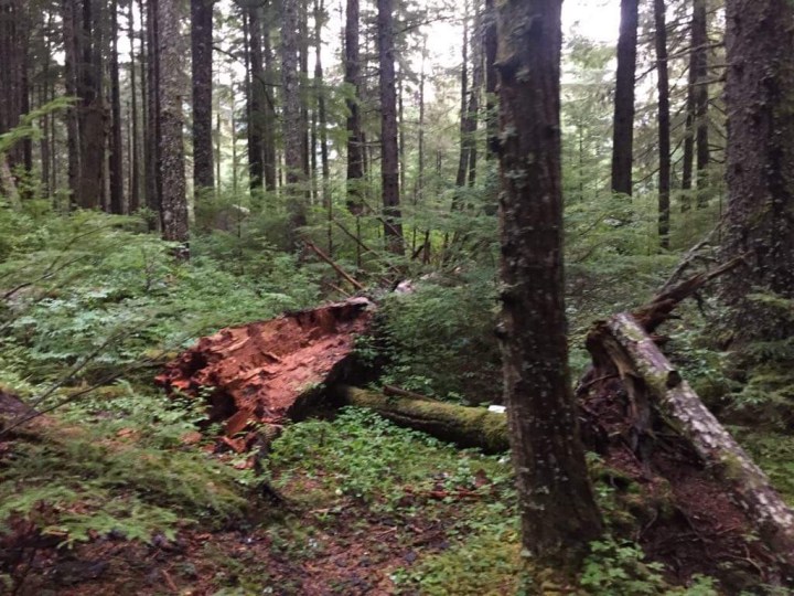 D7984EA7-BA41-49E1-8A80-7B7C7F099FCD