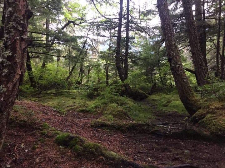 E1F519A4-5569-4909-B673-126022D194FE