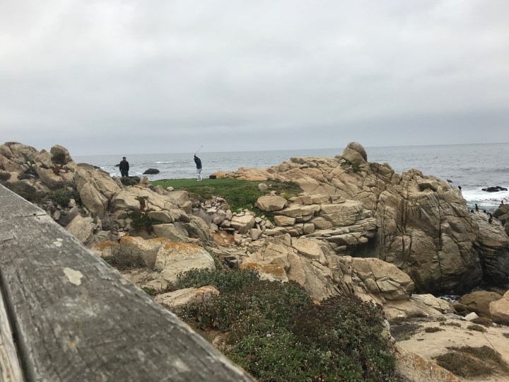 0B7DE308-7475-4036-923D-EAC0E2DEC84E