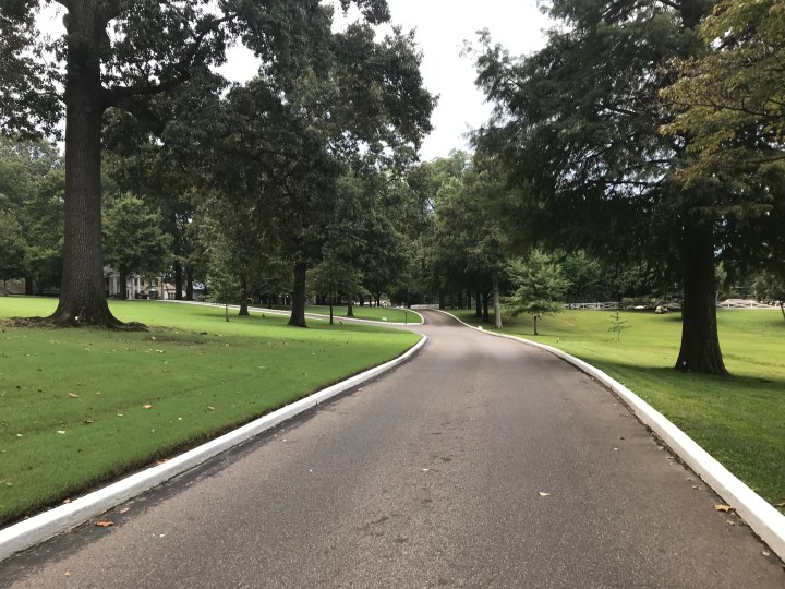 0BBF1131-AD0C-4D8F-AEA0-9F843DC26E15