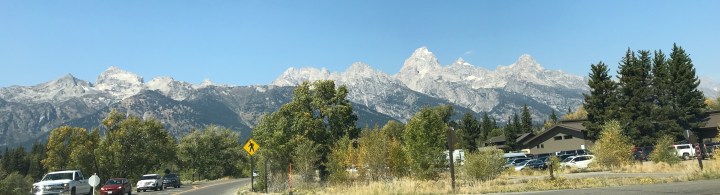 25F02E99-E97F-4CFB-AC74-965087277F19