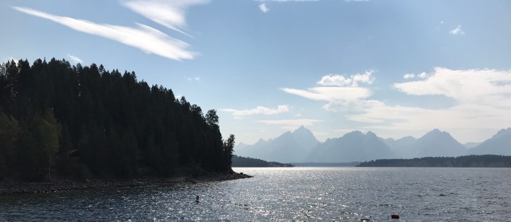 31ECB85D-C1D6-4216-BC41-A641B00534F1