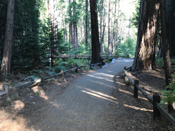 39A4721F-F646-4C5B-8250-DE5786546257