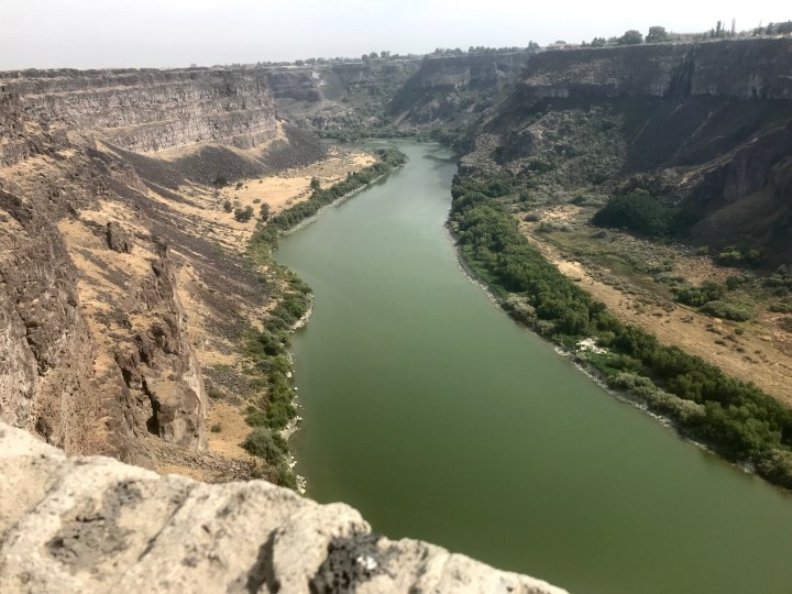 3CA330A4-EF62-4632-9F2B-4D80EAF41B7C