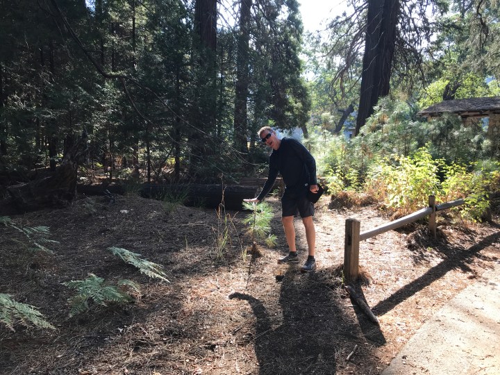 3D8CFFCD-B67A-425F-9E59-846CB4A9A113