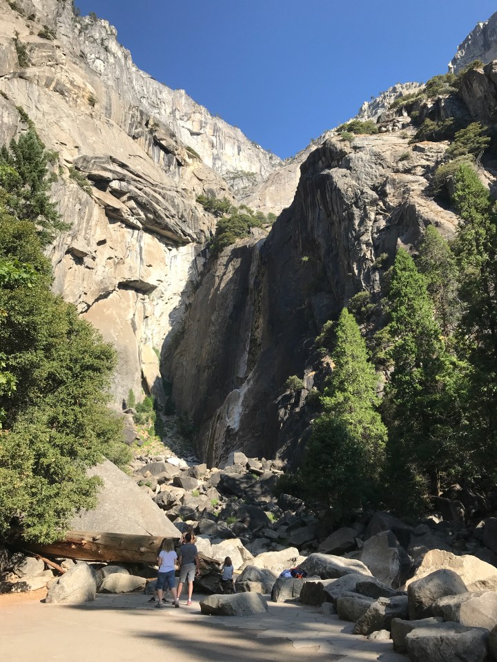 3F17F03E-7437-4E45-836A-A70A6A14E489