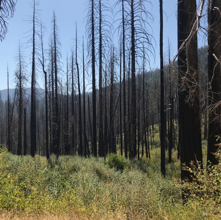 4997C17F-7764-4A6B-AF3C-12347C688F0A