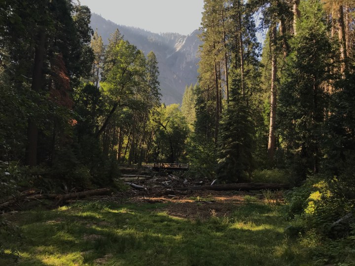 771FCD26-221C-430C-83D7-8A7116E213B3