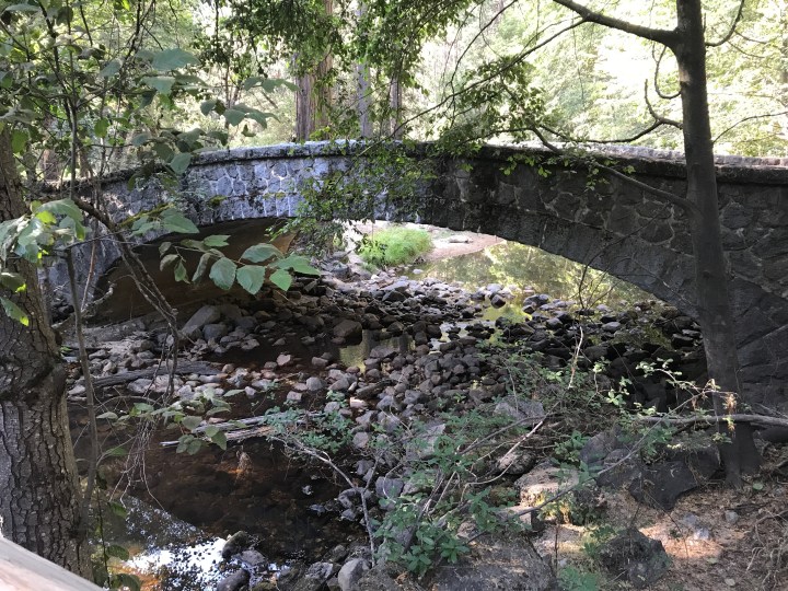 785449DB-BB1F-444D-9E5C-C36458844929