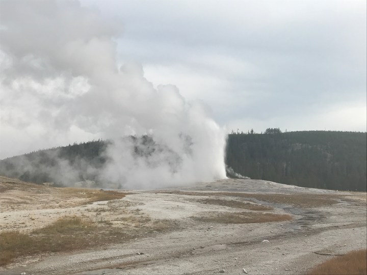 7CE9589F-0119-4D3F-A809-E6FCA9EEA2AF