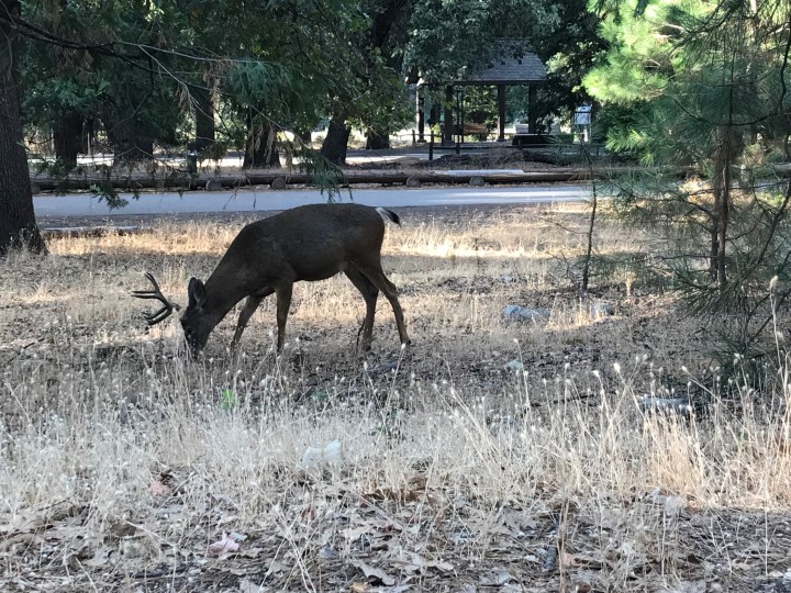 82F0A02E-6A06-409F-83D3-2E996B741049