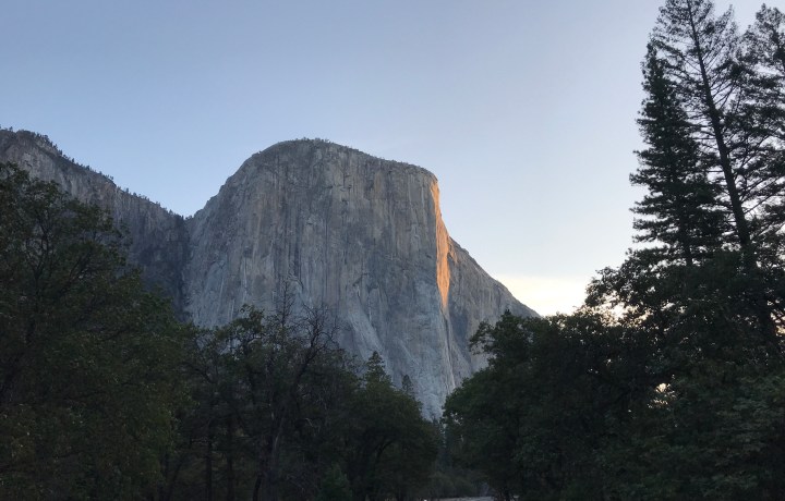 8875AC5B-E161-4BA1-9E35-738A28E66E8D