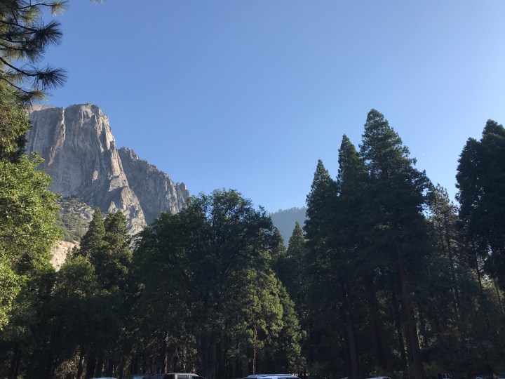 8D6584CA-BF77-4C50-B2E2-D9C7FD083FF0