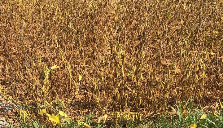 A7D78171-F98A-4F66-A6D3-5E65A236F7E9