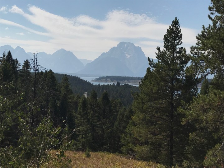 AB200799-82A7-4347-9890-97EB5049586F