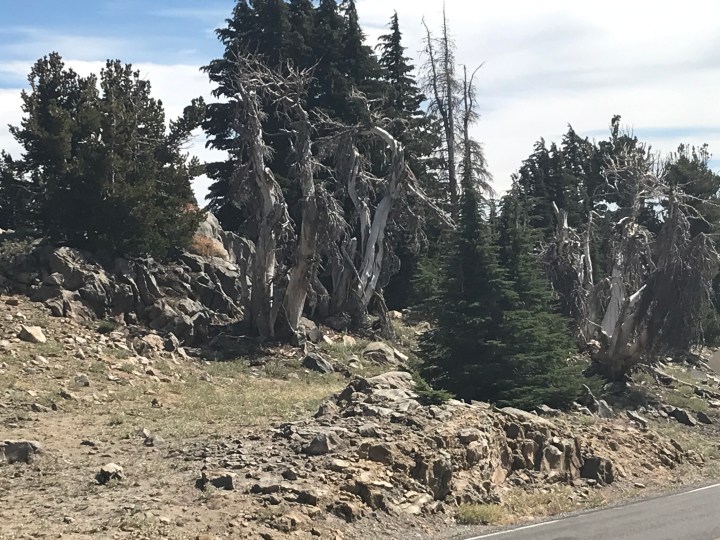 AFFCE769-D292-46FE-827E-C2017FD815B4