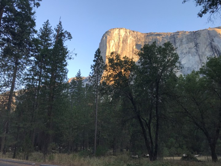 B3F858BE-DE28-4059-8E71-3C6001D2F7C6