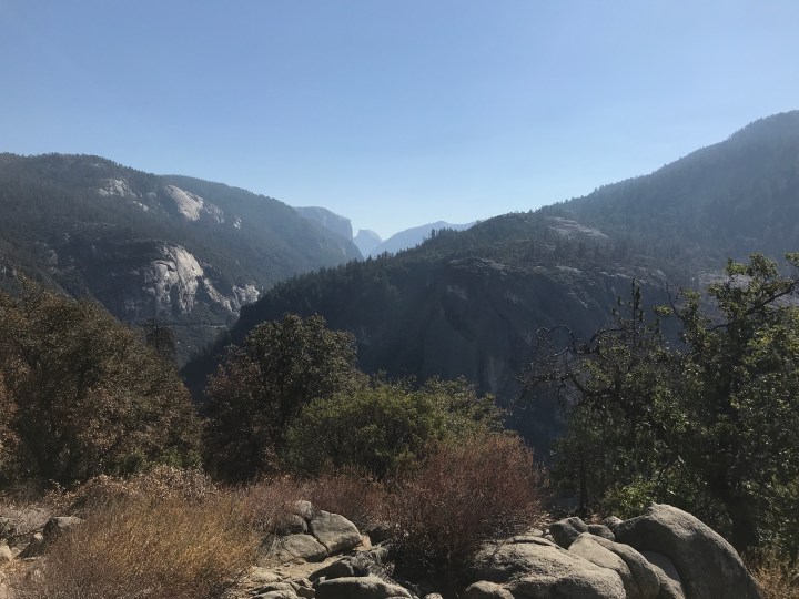 BDA0EEE9-44E4-4B40-B557-2A502D2ED110