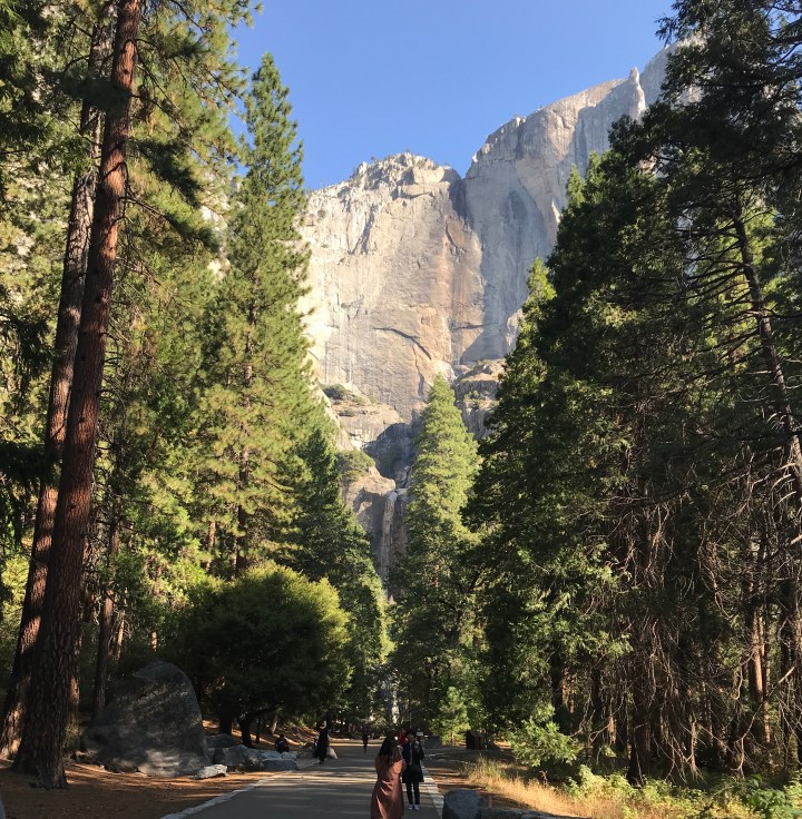 C81964C5-64A3-4BED-A9E8-C0E6CD4972A4