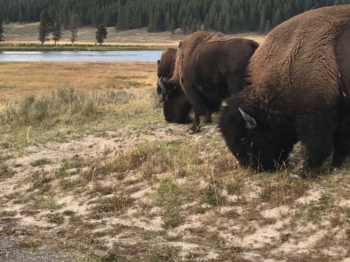 C8CB46CD-B432-4725-9DB3-00162E33D113