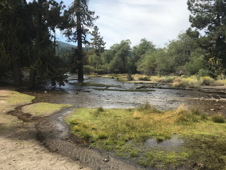 DB3BDF7B-31A8-451B-A637-3AC6863C4A87