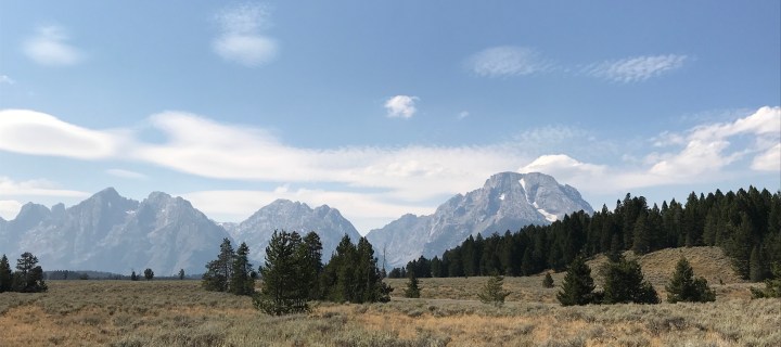 DFD578F4-FF09-407D-8C43-0C92C6864E89