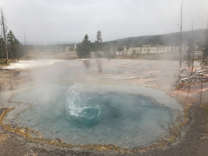 E169BD37-1208-43FE-B9BC-91D565993A26