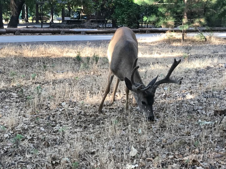 E7EEA2C5-D426-42AA-9673-A420B3A4D920