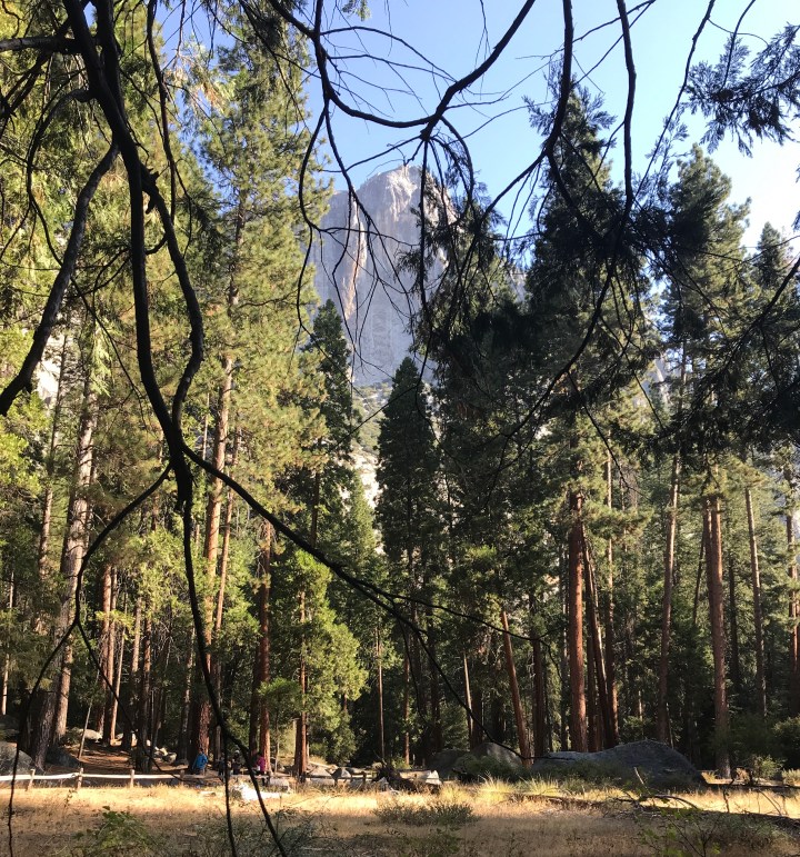 EE47558E-4469-4E60-B638-F2DCDFB61E21