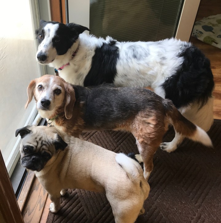 F8EED249-B148-401D-A318-9F0390D1358D