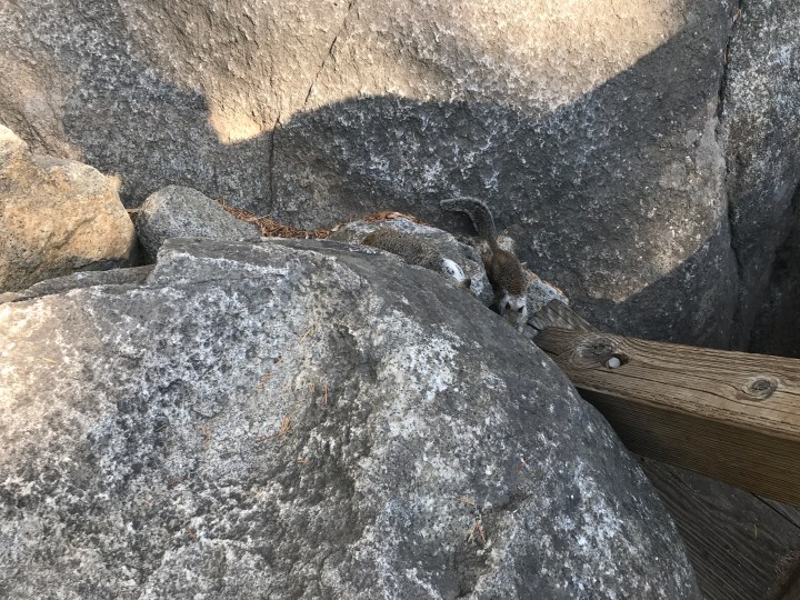 FDFFE626-FEF0-4564-823A-51E50A7A2BFB