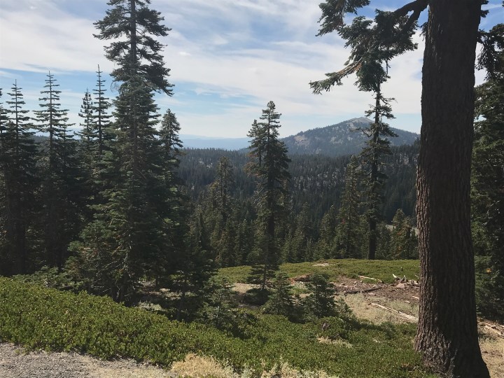 FF7DA3DC-7B20-40D6-A566-F23A22F21EE4