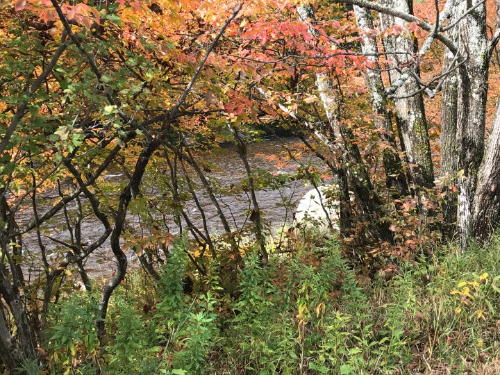 5096B916-1EF1-419B-983A-CD91E6AC5C4C