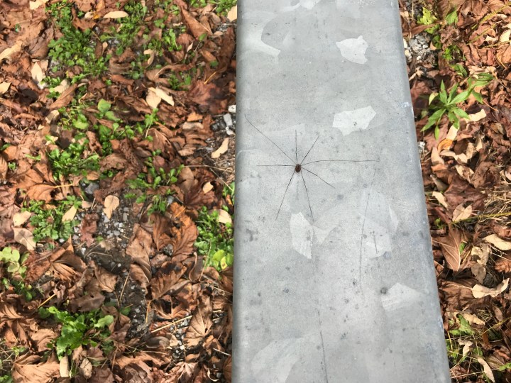 51EE283A-FB99-4F25-8D73-067C08AD0629