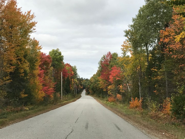 589799A3-5C39-4CD5-9356-9522BC245ED4