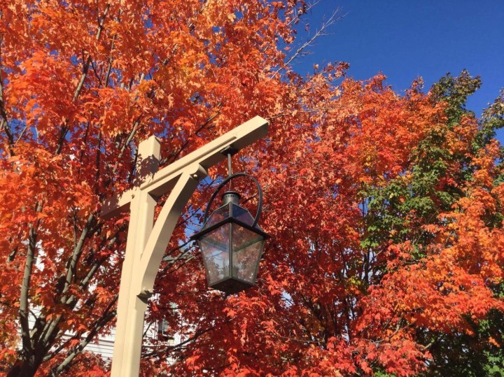 6B6C8299-E672-4AF0-BA58-BEBE8594D65B