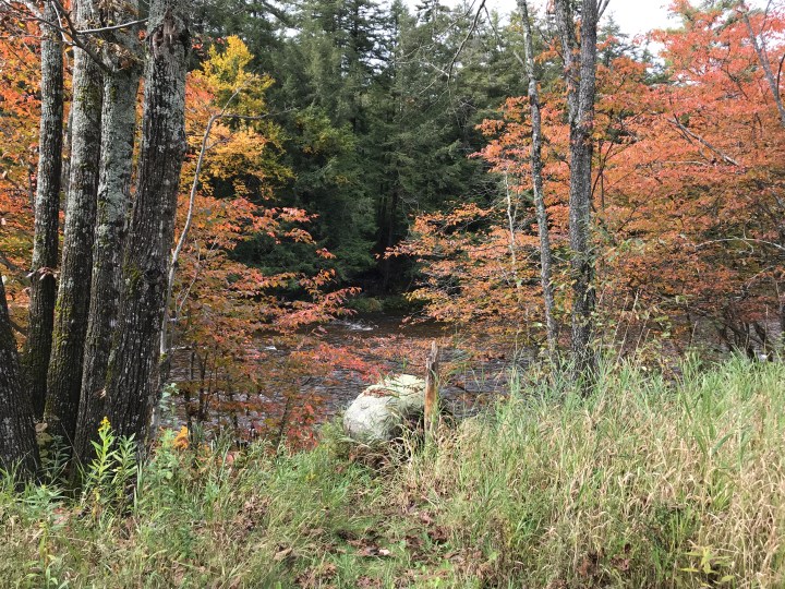 72296A21-B7FE-4CC8-ADF0-C737A98C9688