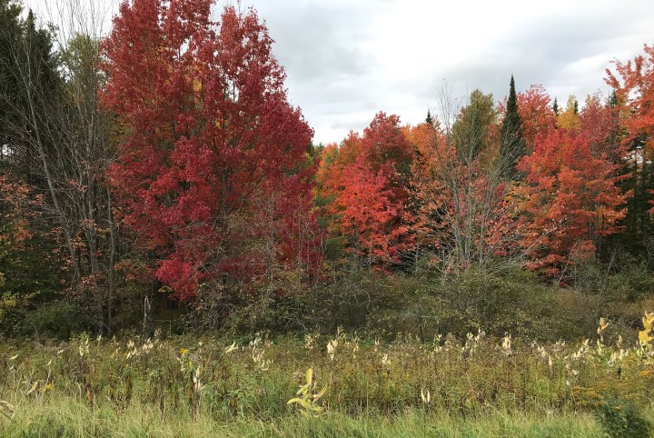 800E8715-9C03-468F-95D5-DDE9A4481DCA