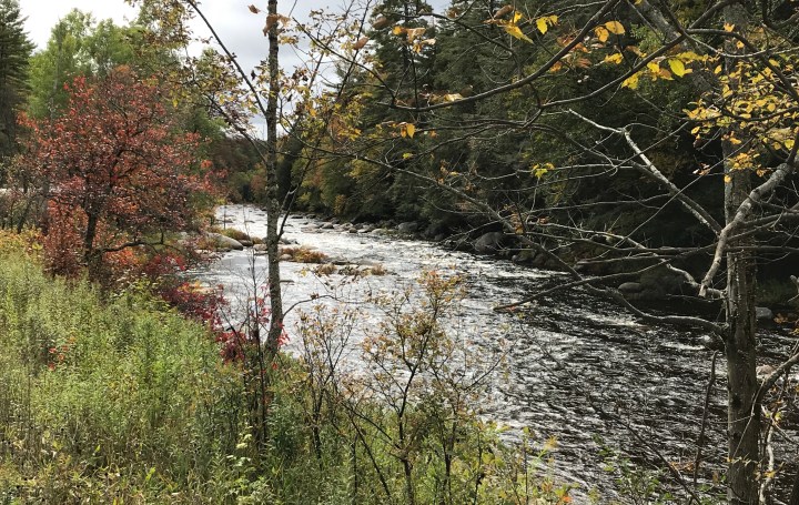 82104E4B-4907-4395-B31F-E1D08B31E5D3