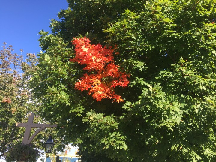 9833E307-9148-4D31-B9F4-80F79E5E4507