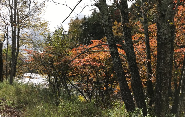 A4BC5407-215C-4D5F-B95B-17D85B87C2DB